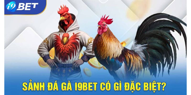 lý do nên chơi đá gà campuchia tại i9bet
